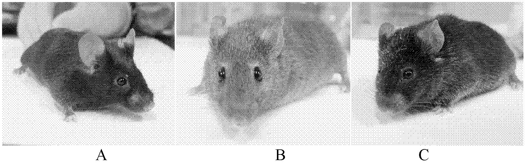 Construction for number 1 chromosome substitution laboratory mouse strain C57BL/6-Chr1C3H/HeJ