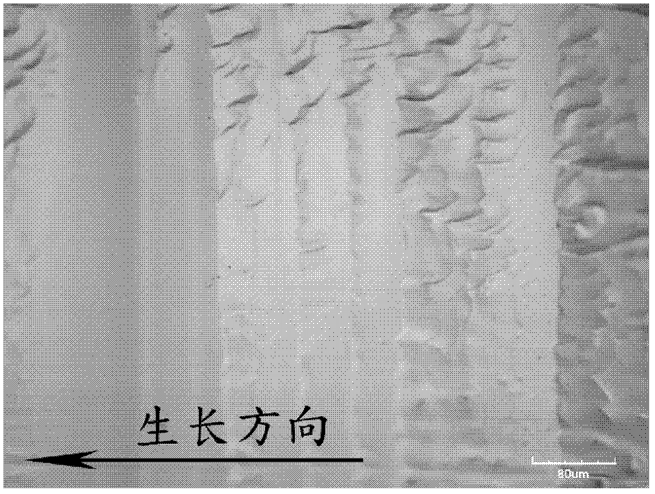 Method for growing large size Ta2O5 single crystal by using floating zone method