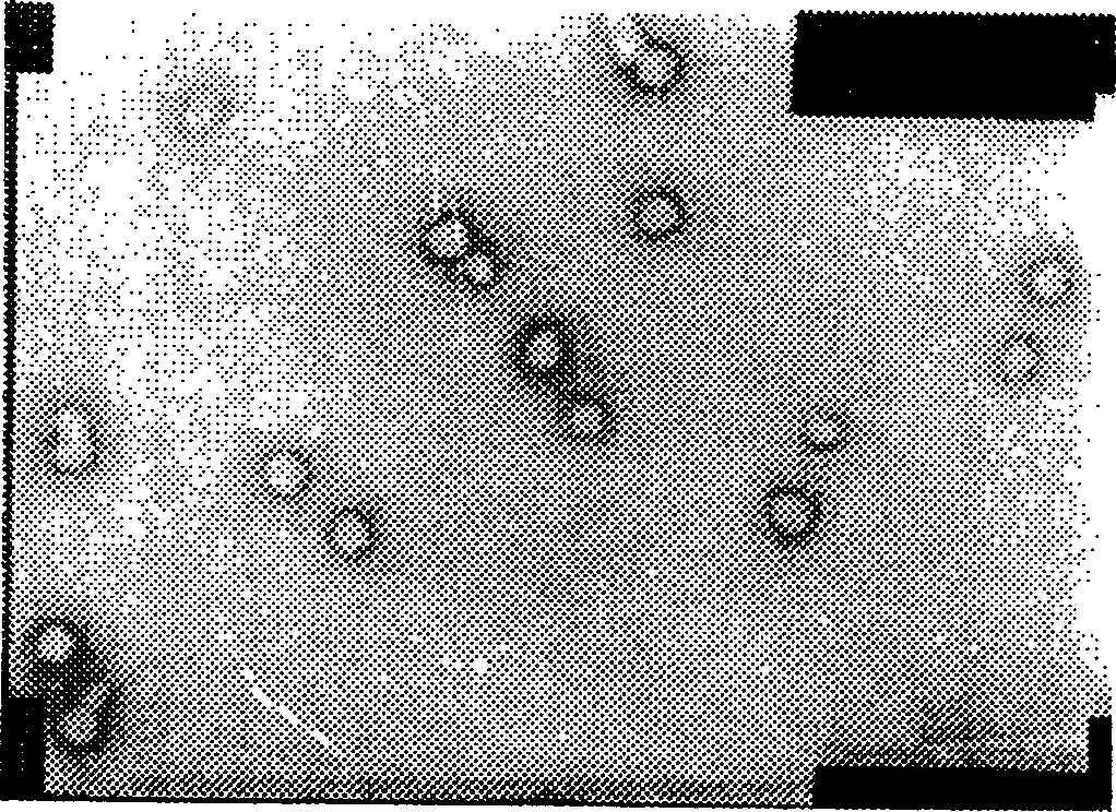 Core-shell particles with acroleic acid esterified polyurethane as main body of core and making method and use thereof