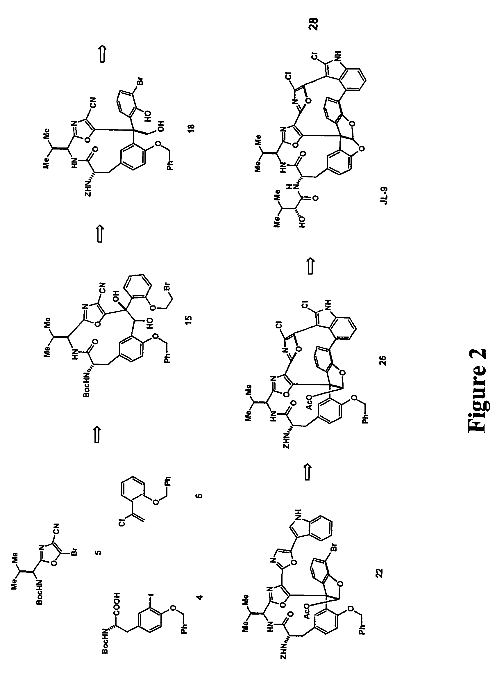 Synthetic diazonamides