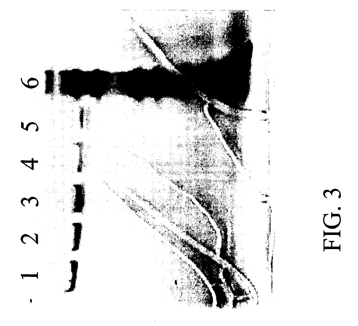 Methods for producing preparations of recombinant AAV virions substantially free of empty capsids