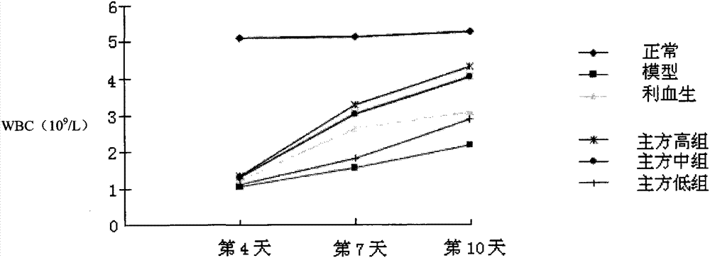 Chinese medicinal composition for raising leucocytes and preparation method and application thereof