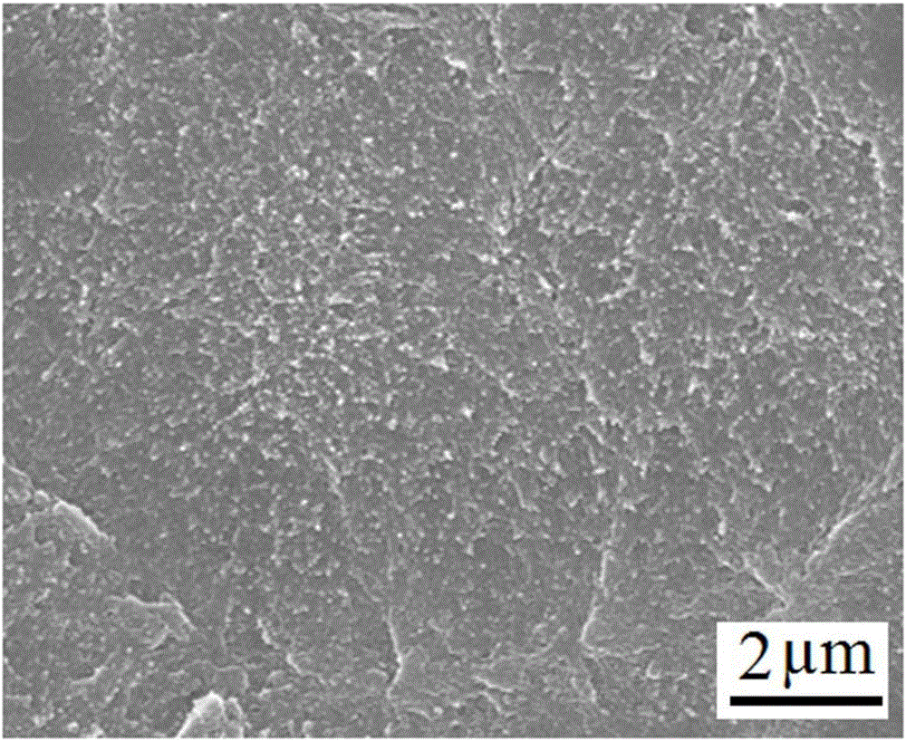 Porous polymer material and preparation method thereof