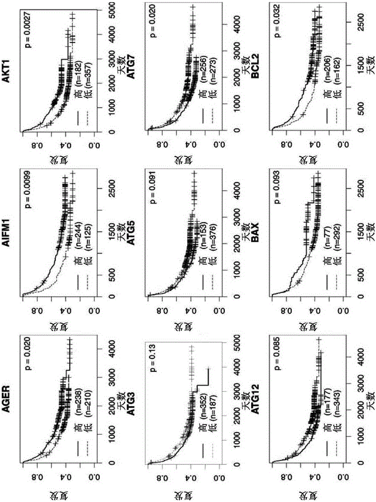 Compound or reagent kit for predicting liver cancer prognoses