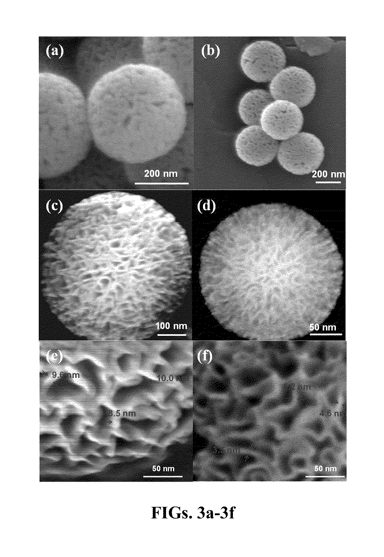 High Surface Area Fibrous Silica Nanoparticles