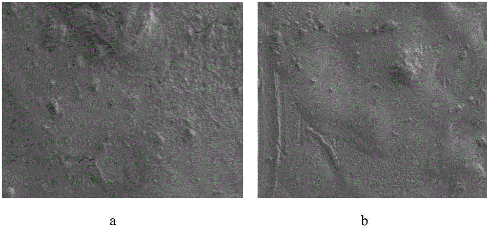 Method for preparing boride coating on stainless steel surface