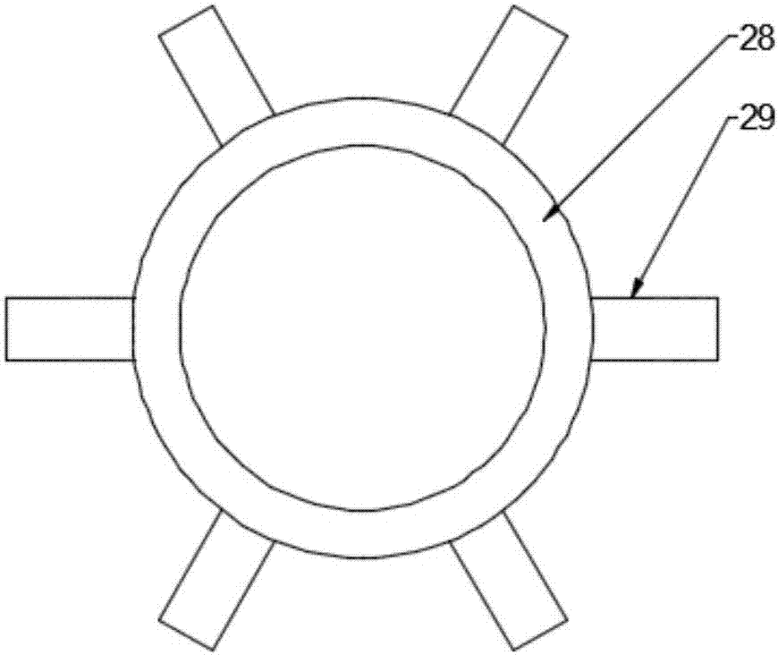 Fish feed throwing device floating on water surface