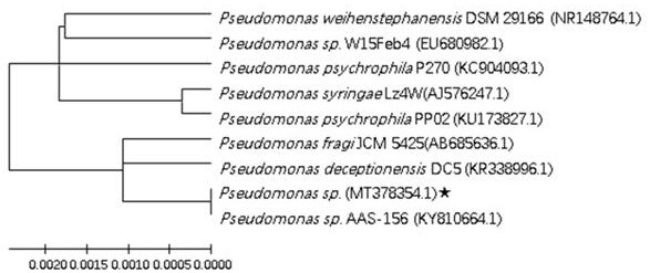 Pseudomonas and application thereof