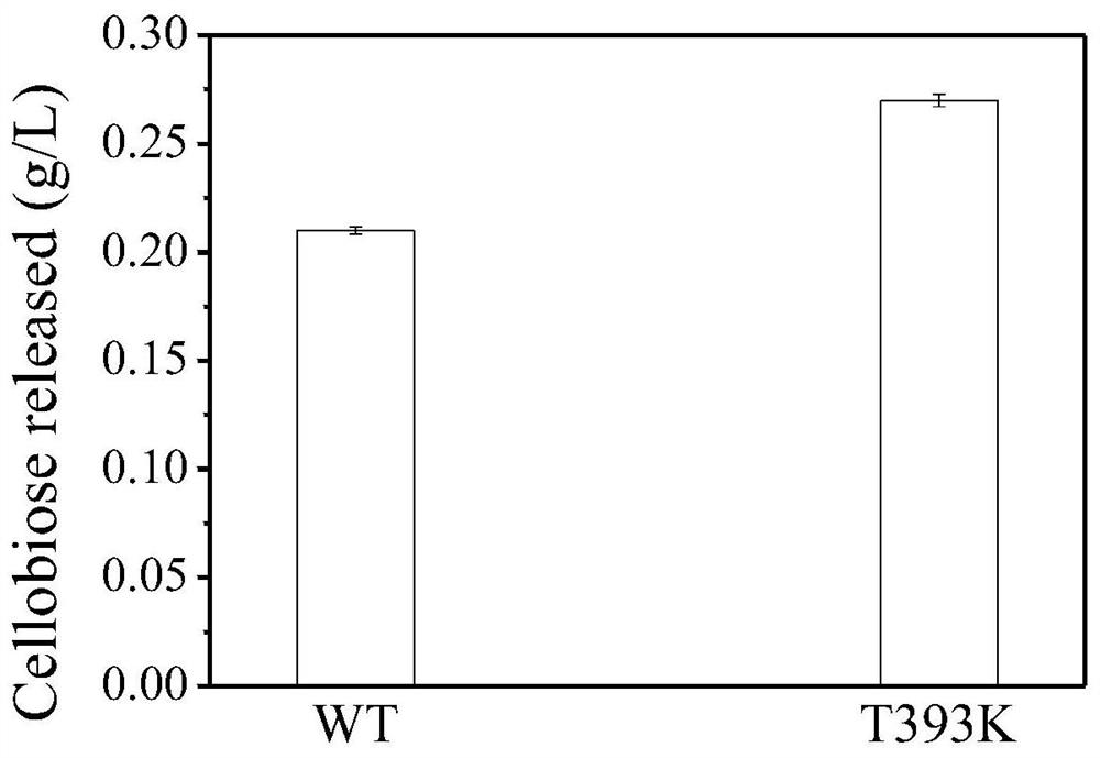 Cellobiohydrolase mutant and its production method and application