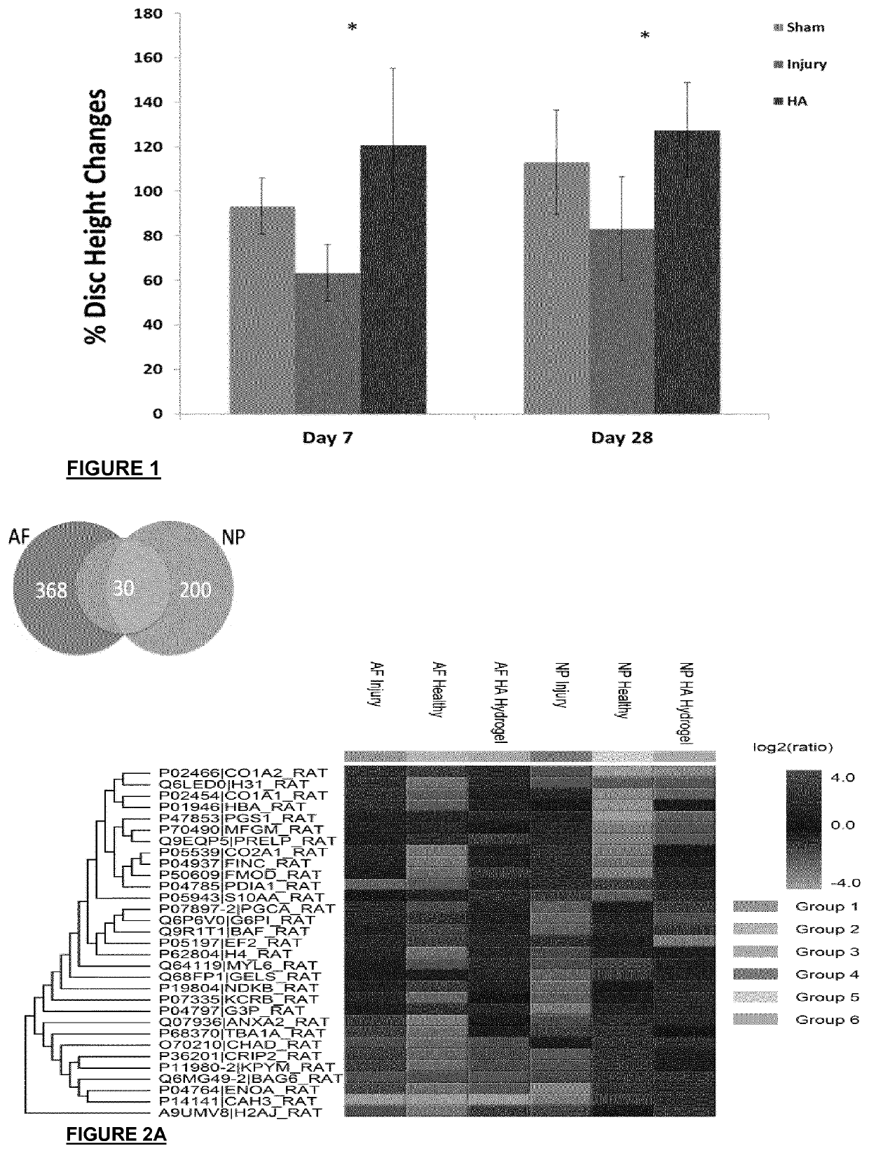 Regeneration of diseases intervertebral discs