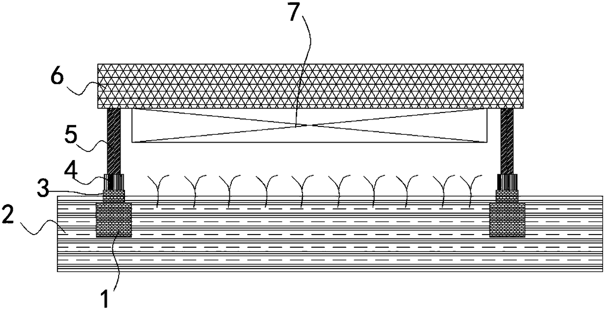 Track-based vegetable harvesting apparatus