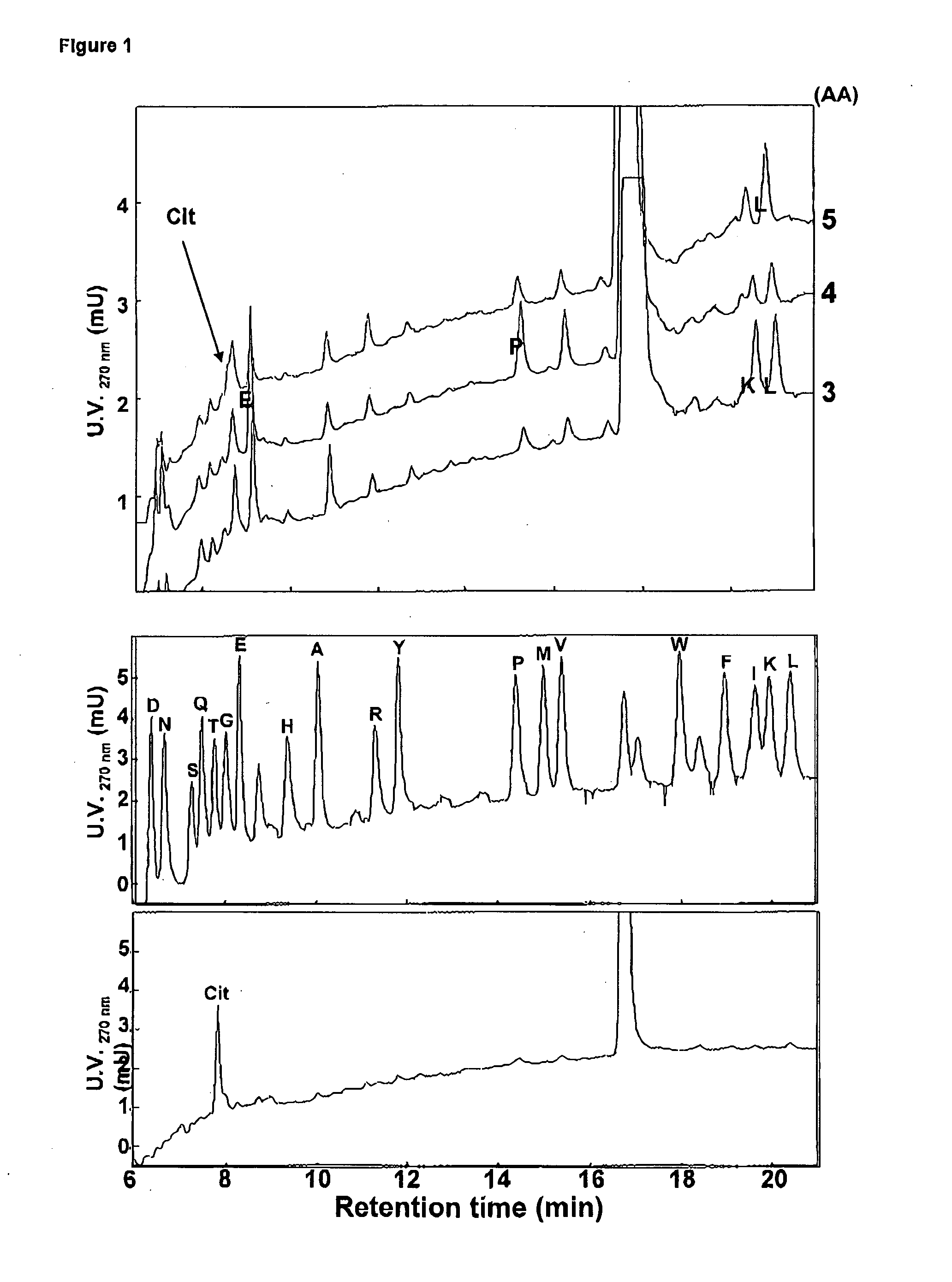 Citrullinated cytokines