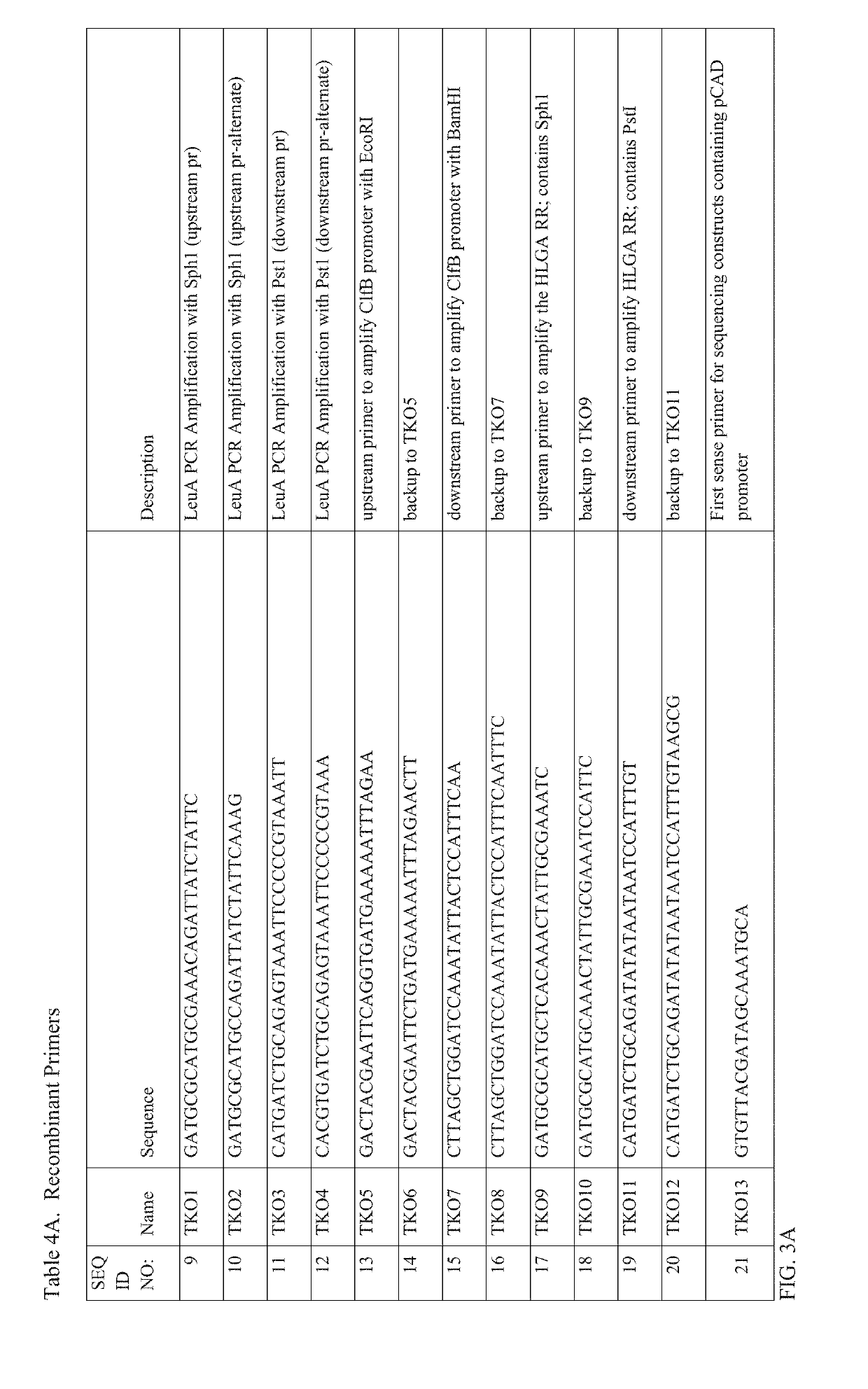 Methods and compositions to prevent microbial infection