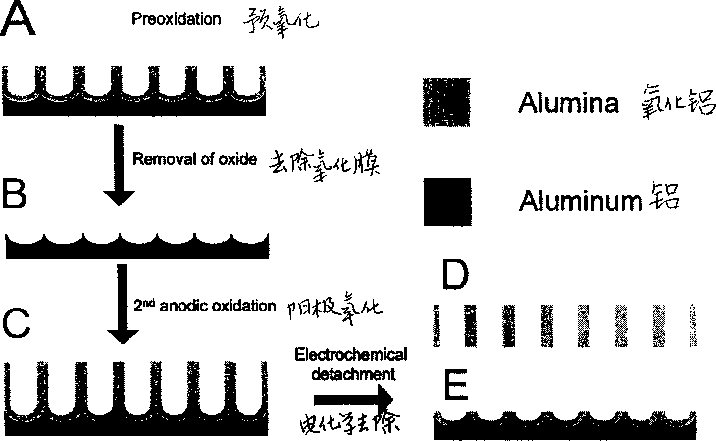 Preparation for self-supporting ordered through hole alumina film