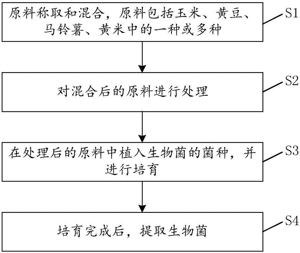 Environment-friendly organic cultivation method of biological bacteria