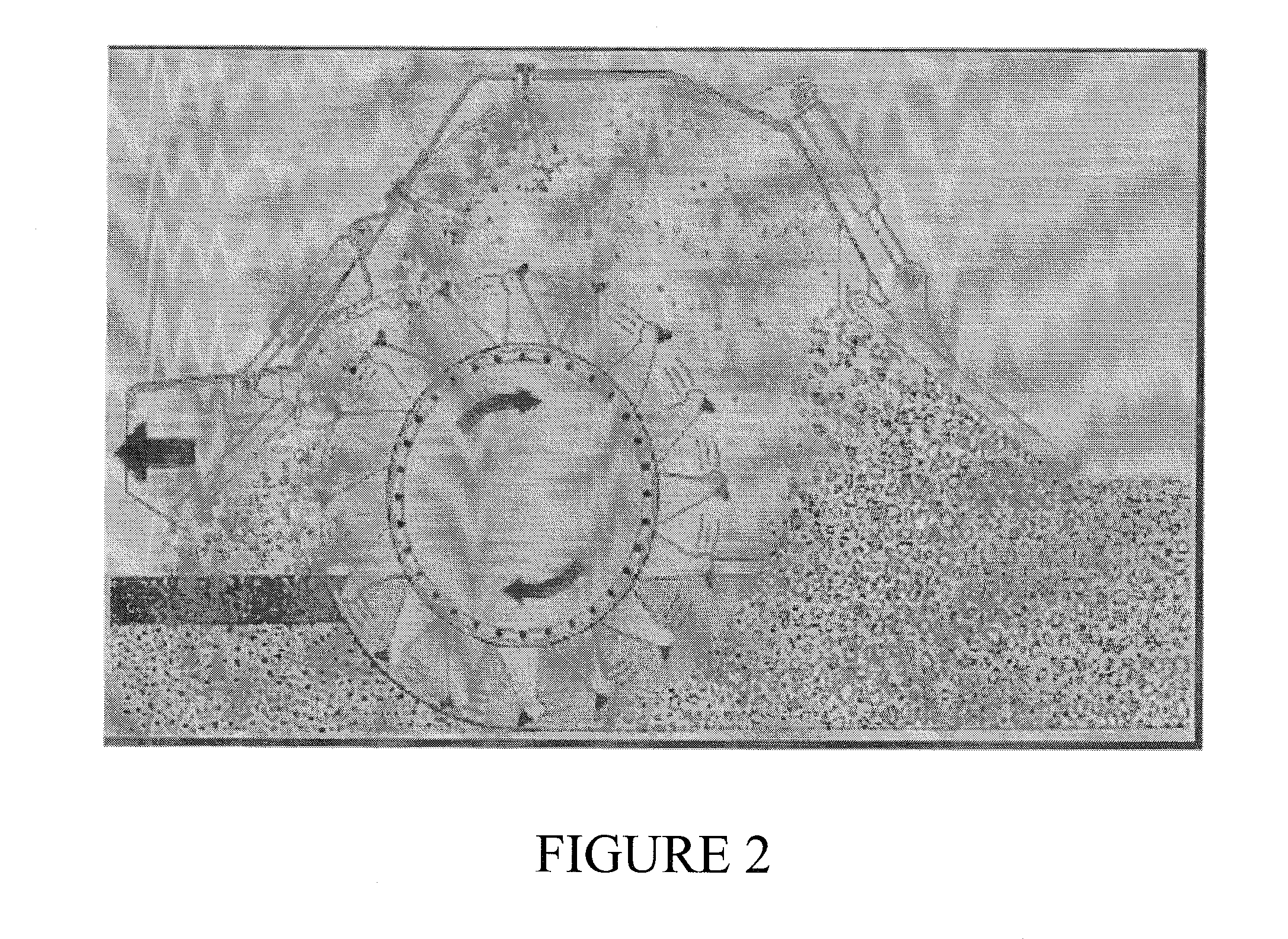 Method and composition for modifying soil and dust control