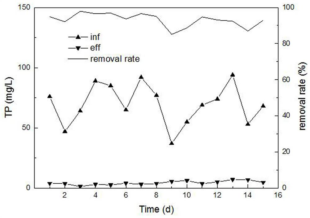 A cc-hbdp treatment process for livestock and poultry breeding wastewater