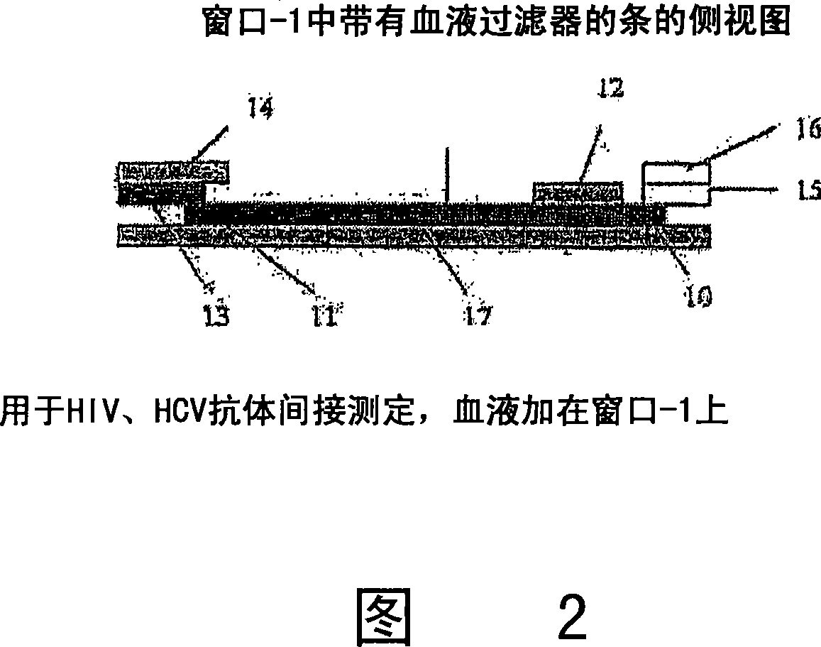 Quantitative lateral flow system and assay