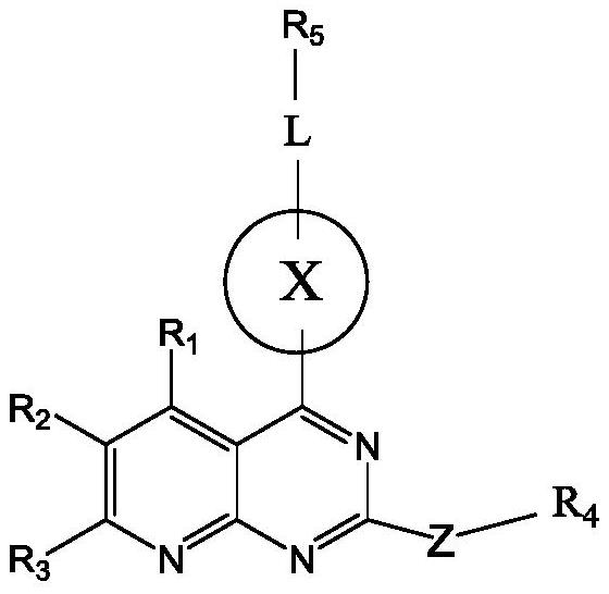 Pyridopyrimidine KRAS G12C mutant protein inhibitor