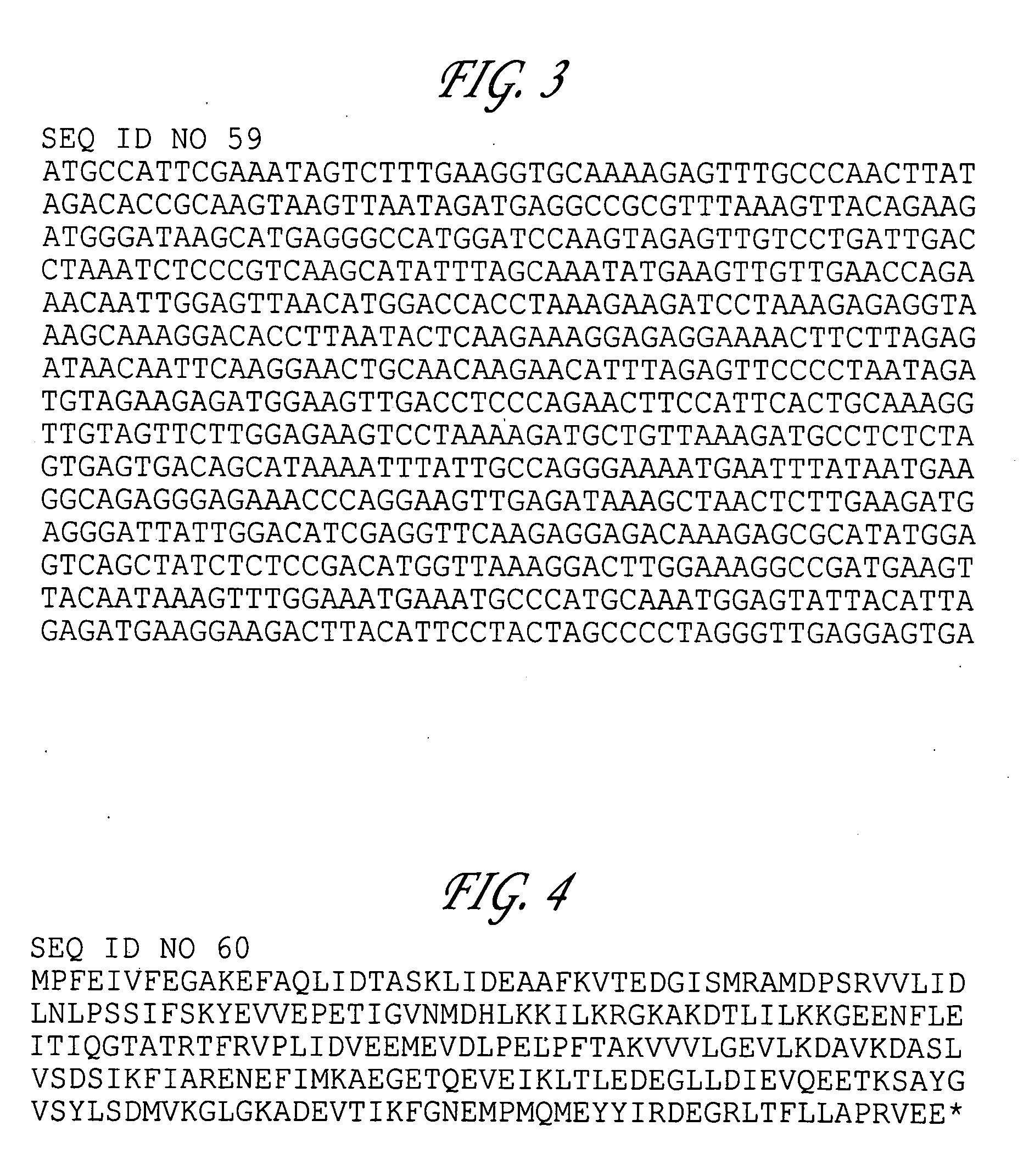 Pfu replication accessory factors and methods of use