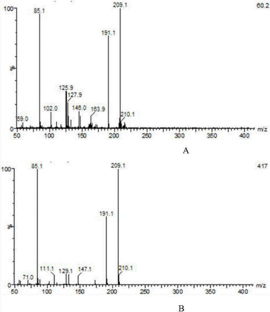 Method for producing glucaric acid by constructing recombinant saccharomyces cerevisiae and fermenting