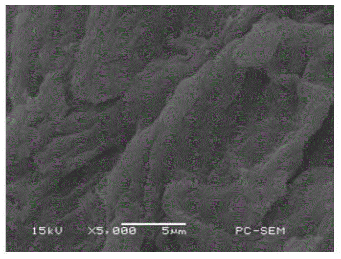 Corn stalk pre-processing method