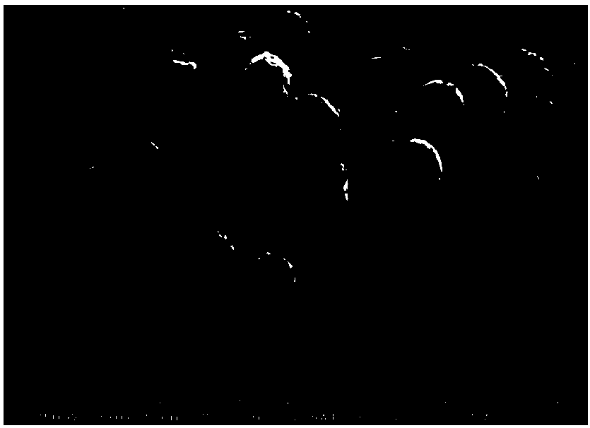 Preparation method of hollow spherical barium-strontium-titanate powder material