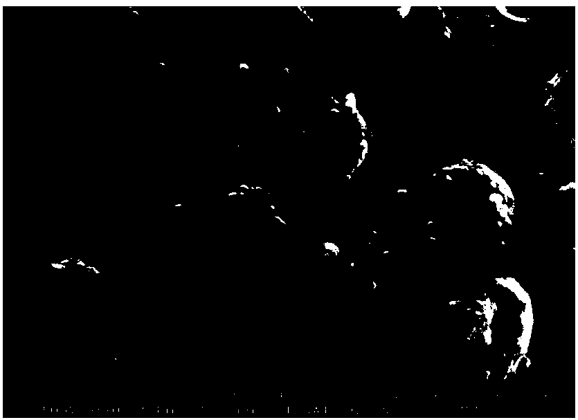 Preparation method of hollow spherical barium-strontium-titanate powder material