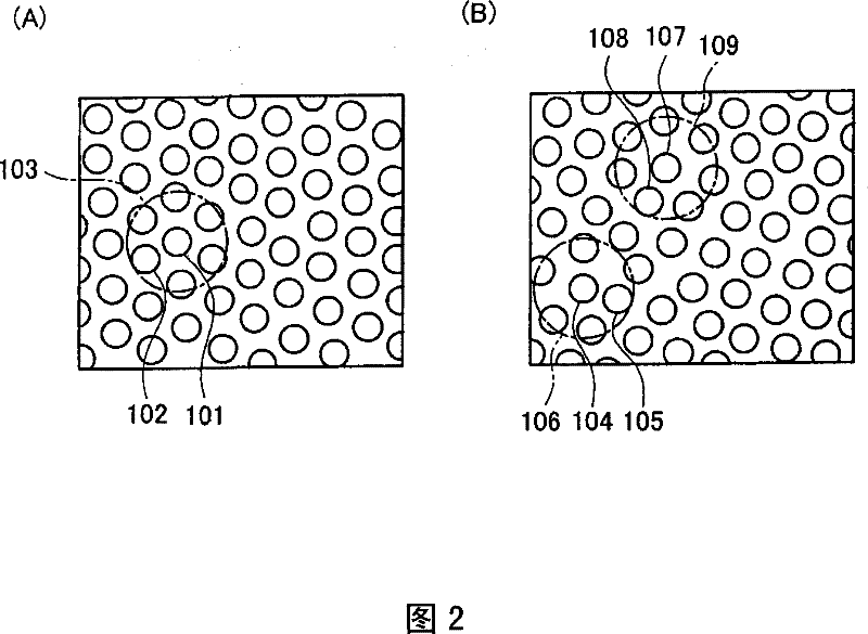 Anisotropically conductive member and method of manufacturing the same