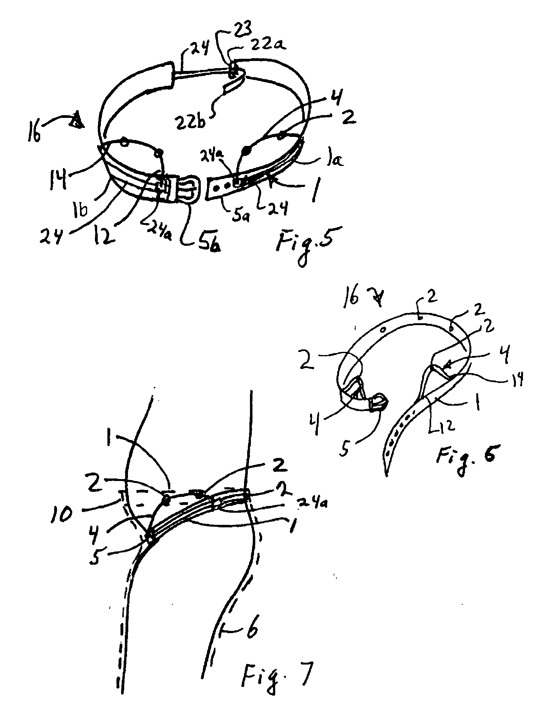 Inside Belt