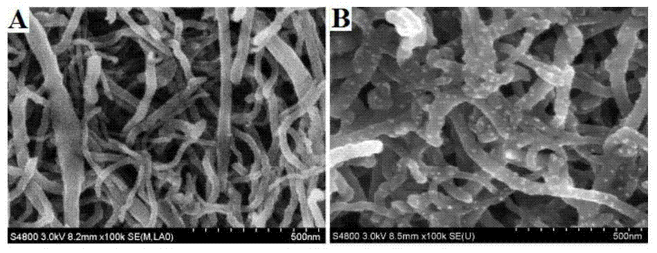 Carbon nano tube/nanogold composite membrane electrochemical immunosensor and application thereof