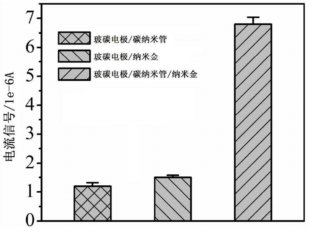 Carbon nano tube/nanogold composite membrane electrochemical immunosensor and application thereof