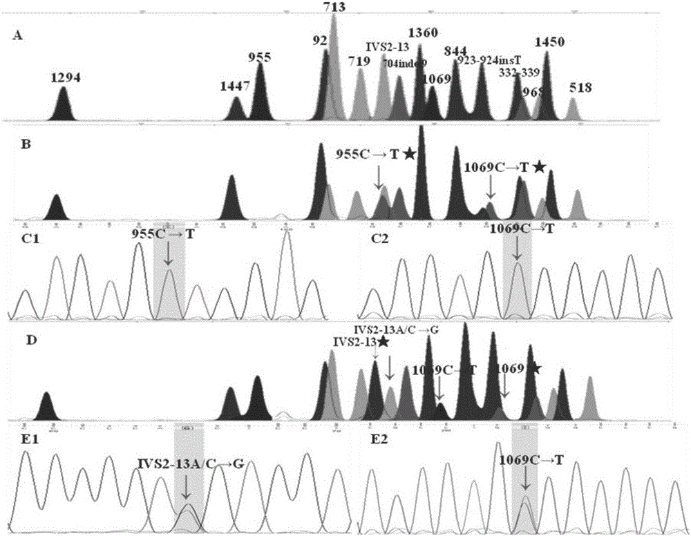 Congenital adrenal hyperplasia gene screening kit, screening method and application thereof