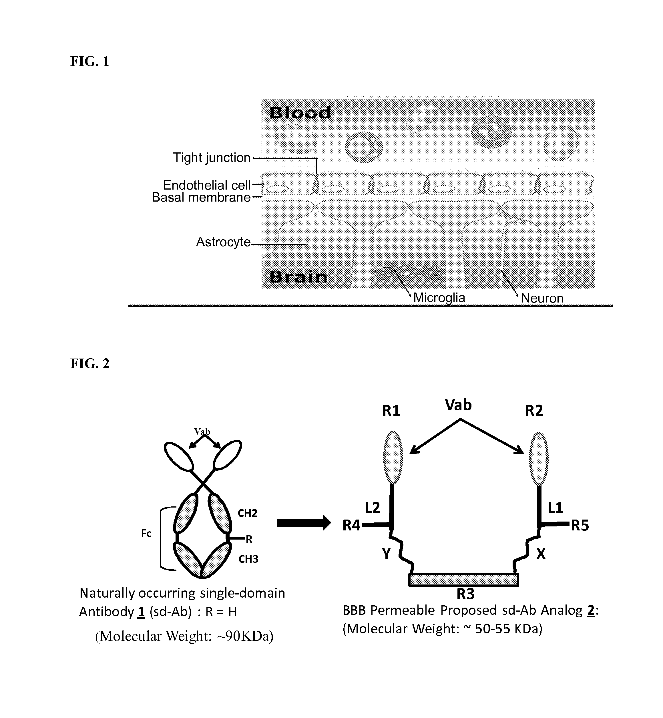 Blood-brain barrier permeable peptide compositions