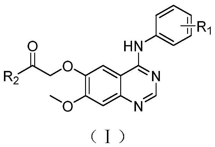 Quinazoline derivatives and their application as antitumor drugs