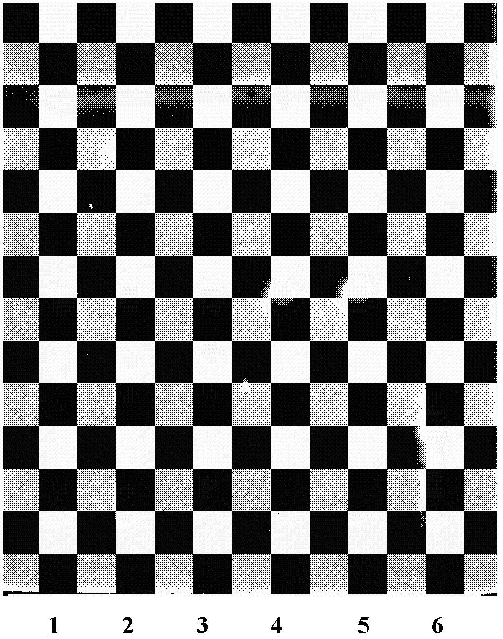 Detection method of Wuweiganlu preparation