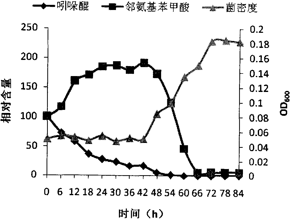 Achromobacter xylosoxidans strain and application thereof