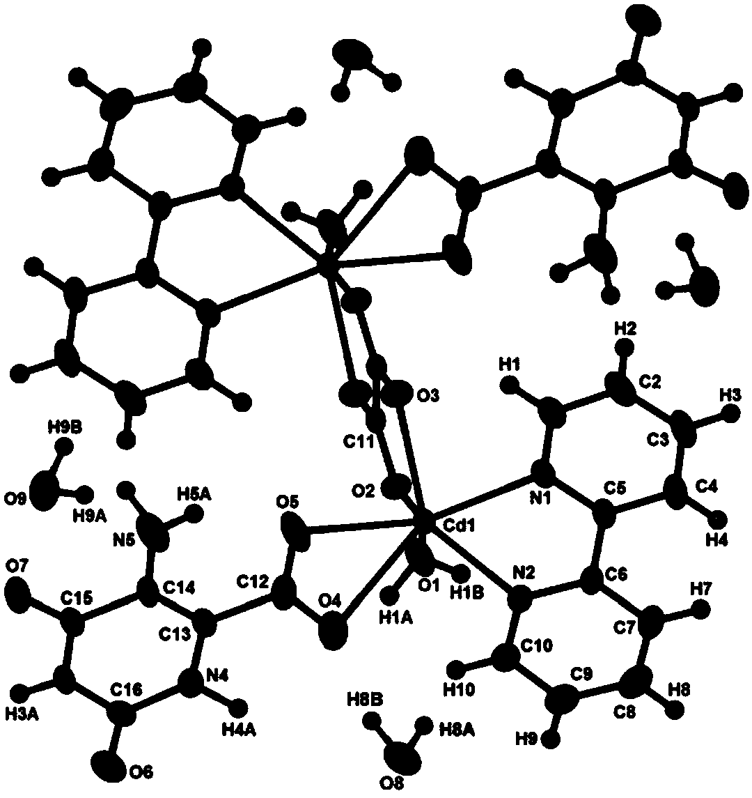 A 5-aminoorotic acid dinuclear cadmium complex