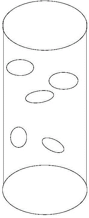 Fermentation freezing solid dairy product and preparation method thereof