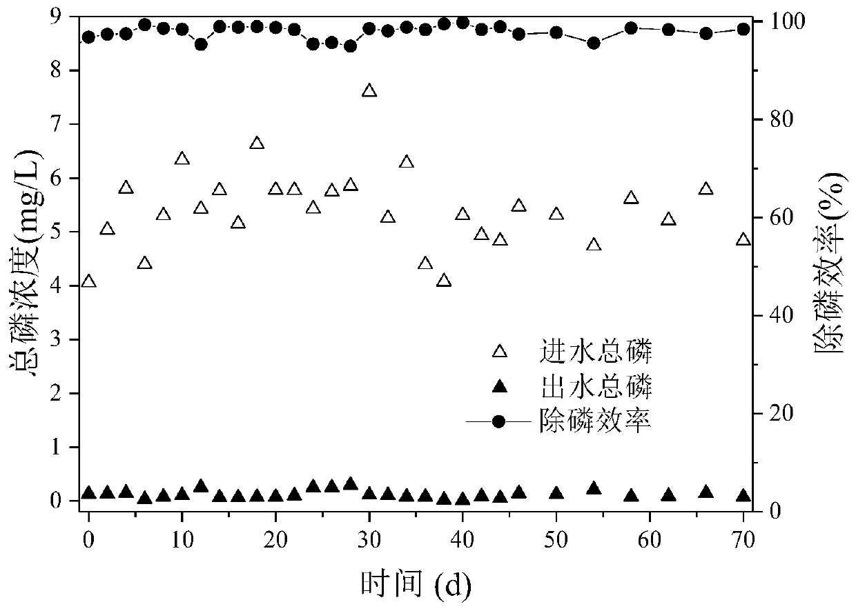 A sewage treatment system and treatment method combining membrane bioreactor and phosphorus recovery process