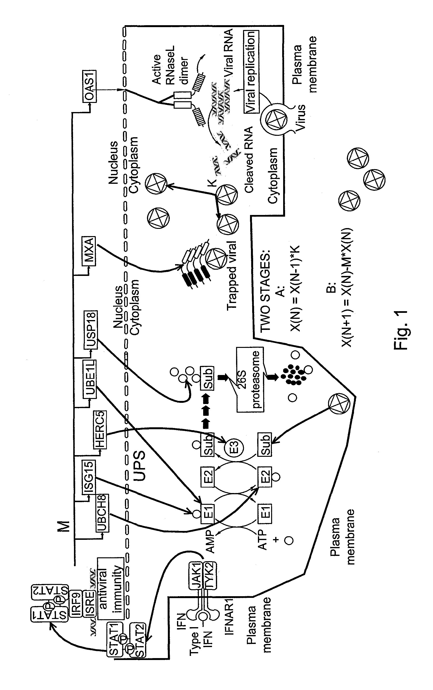 Methods and kits for determining a personalized treatment regimen for a subject suffering from a pathologic disorder