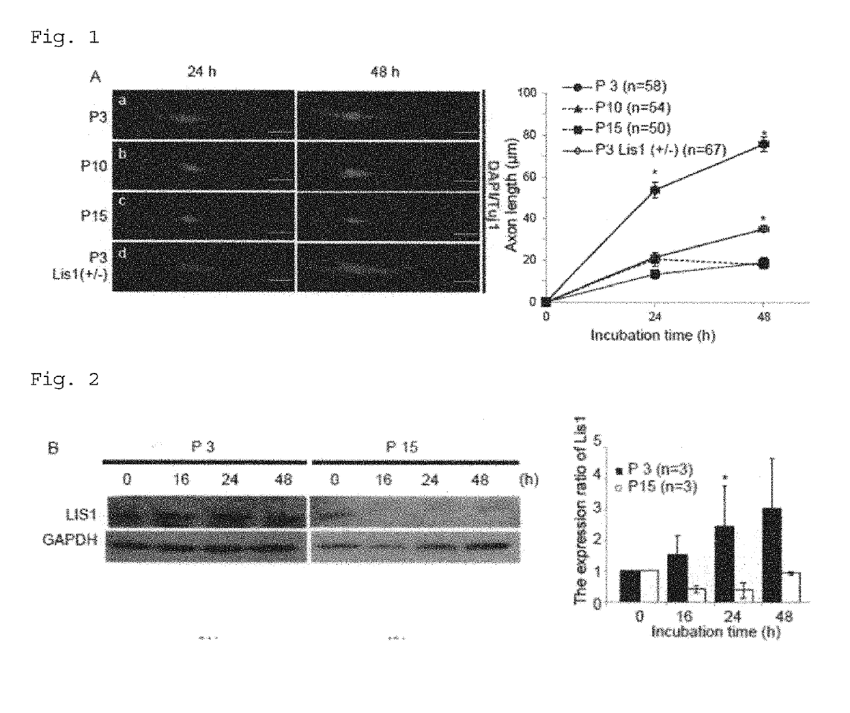 Composition for treatment and/or prevention of peripheral nerve disorder