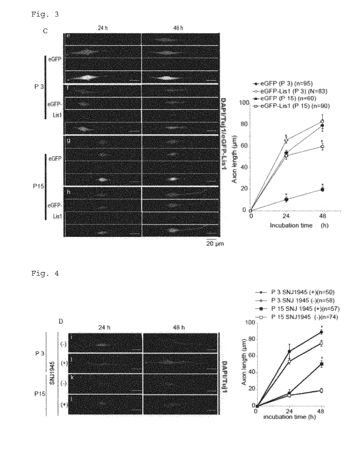 Composition for treatment and/or prevention of peripheral nerve disorder