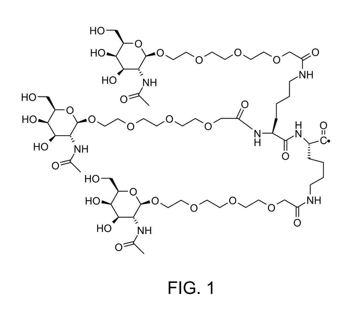 Defined multi-conjugate oligonucleotides