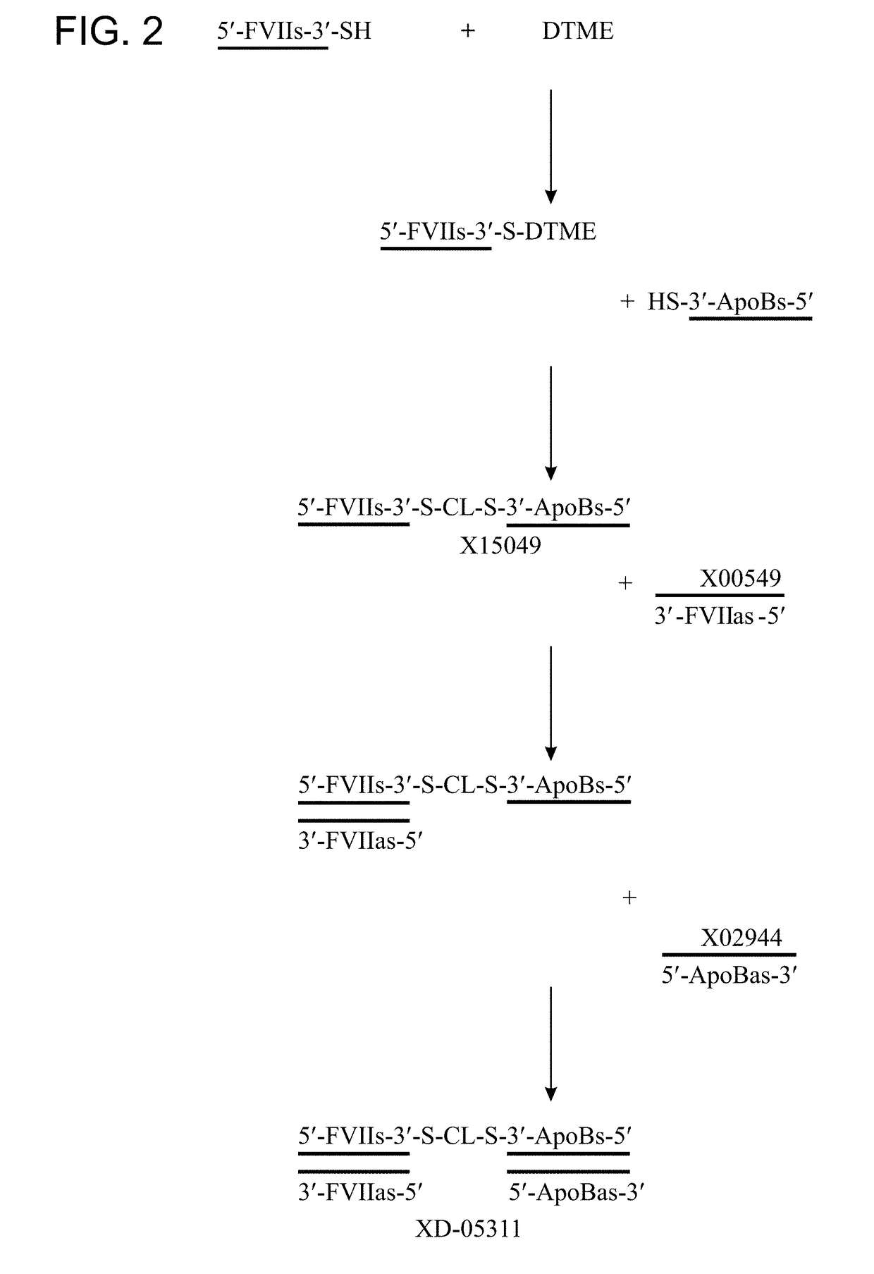 Defined multi-conjugate oligonucleotides