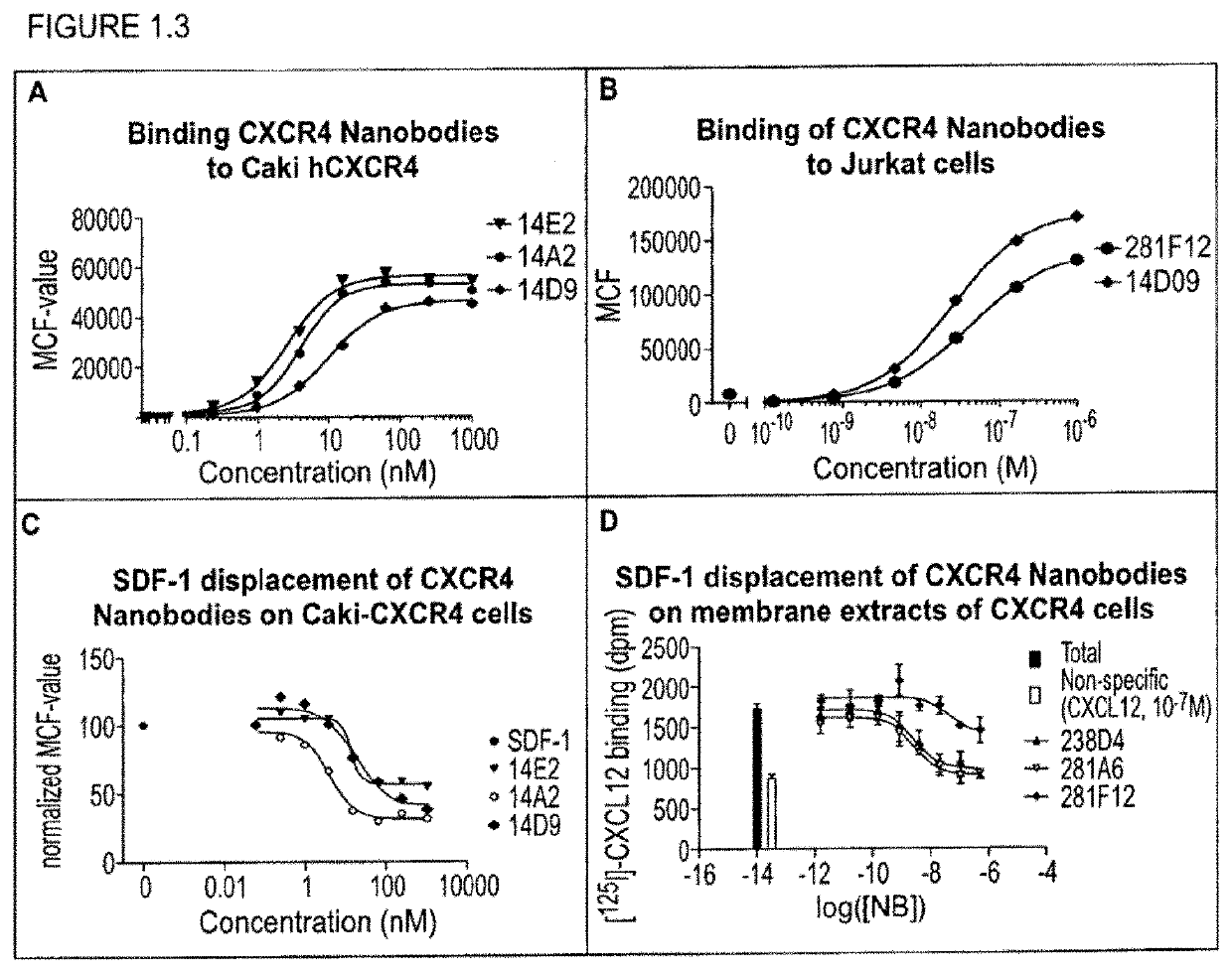 Bispecific nanobodies