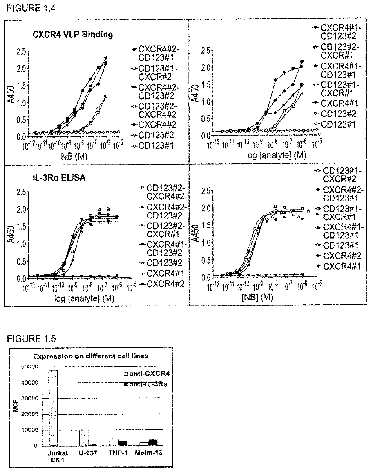 Bispecific nanobodies