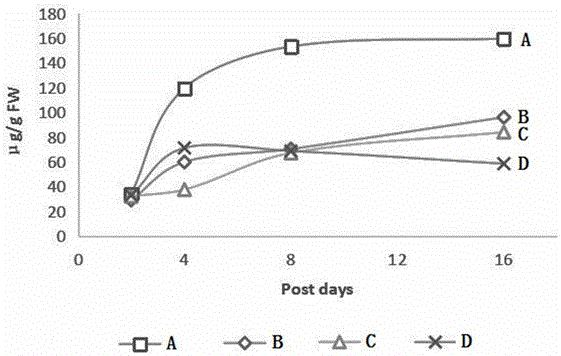 HPLC detection method for malic acid content of sugarcane leaf