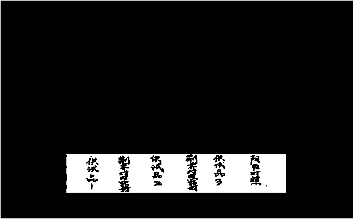 Preparation and detecting methods of traditional Chinese medicine composition for treating wind-cold-wetness evil