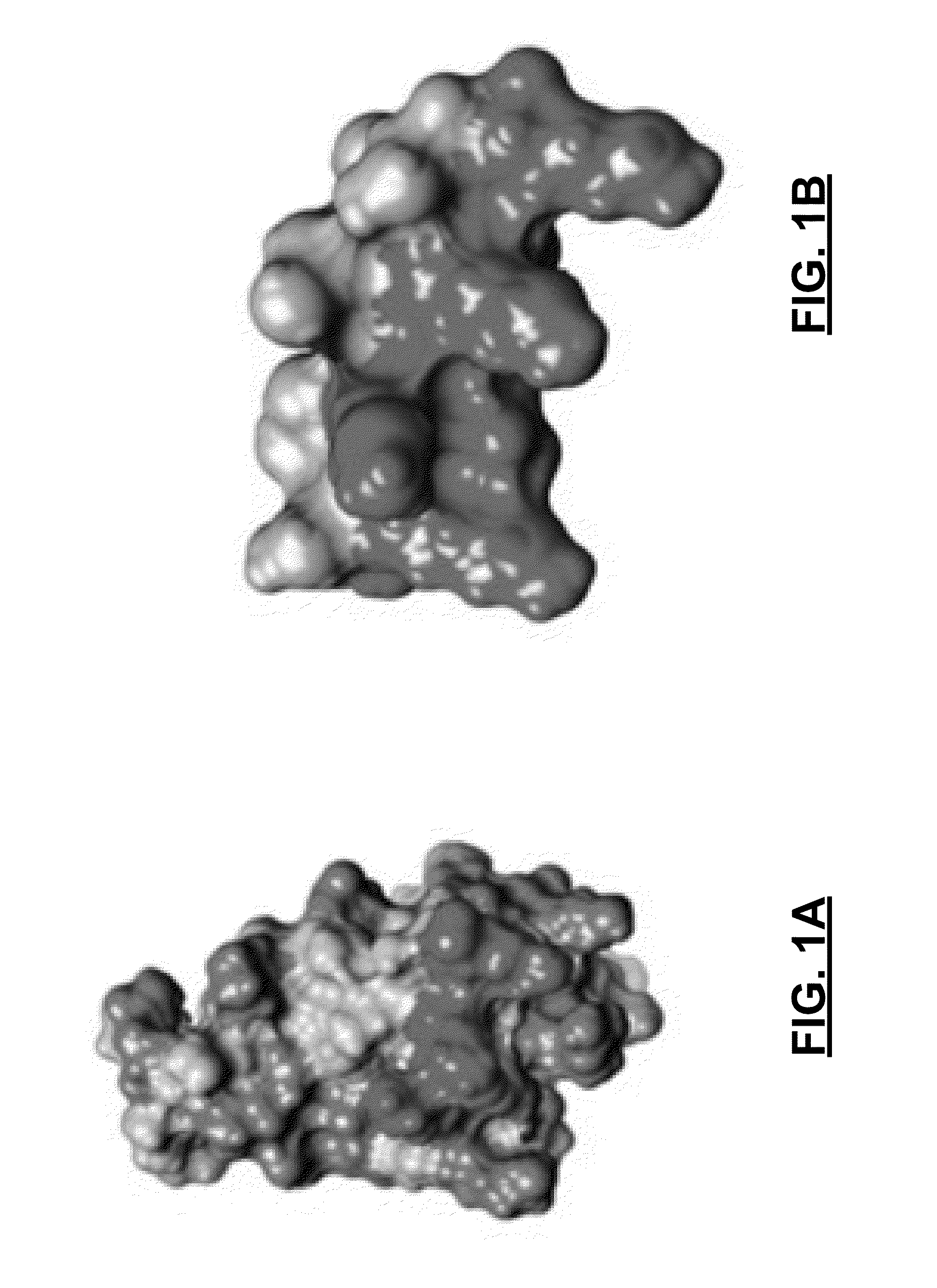 Chemokine derived peptides and uses for chronic wound and angiogenesis inhibition treatments